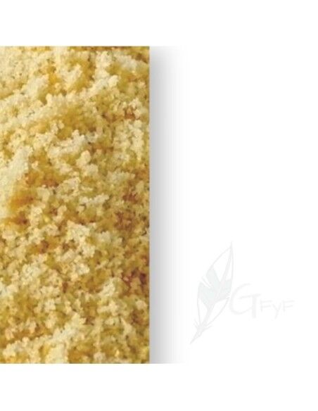 White Soft Premium ( New Formula)  Serinus
