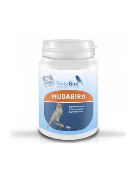 Mudabird Fortebird