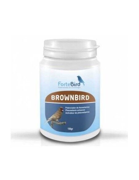 Brownbird Fortebird