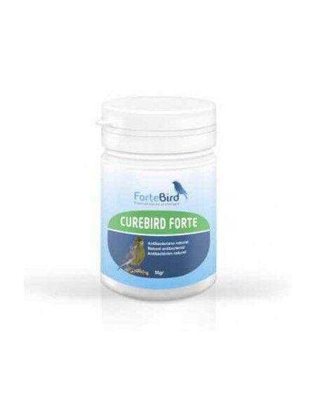 Curebird Forte Fortebird