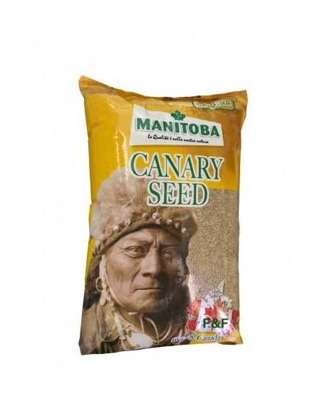 Alpiste Canada Extra Manitoba