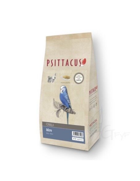 Micro Psittacus