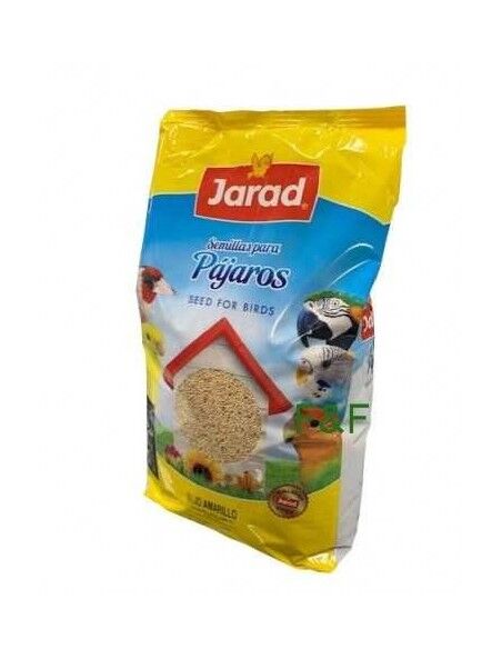 Mijo Amarillo Jarad