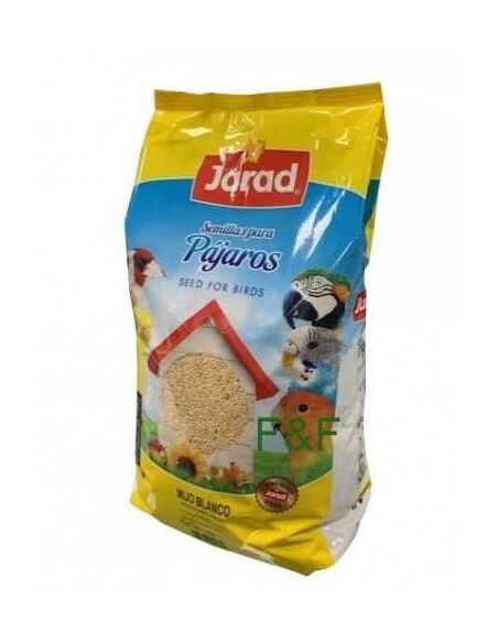Mijo Blanco Jarad