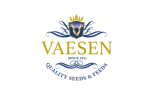 Vaesen