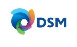 DSM