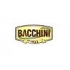 BACCHINI