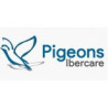 Pigeons Ibercare