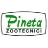 Pineta