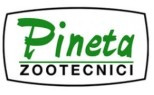 Pineta