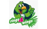 Rings4wings